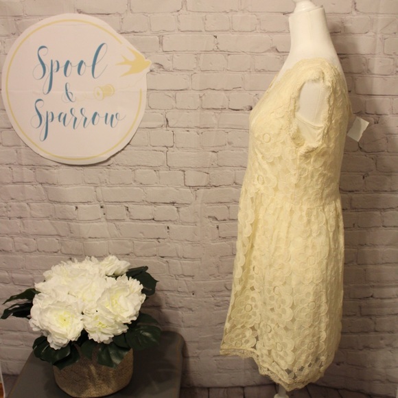 Soleblu Creamy Floral Lace Dress NWT - Picture 5 of 6